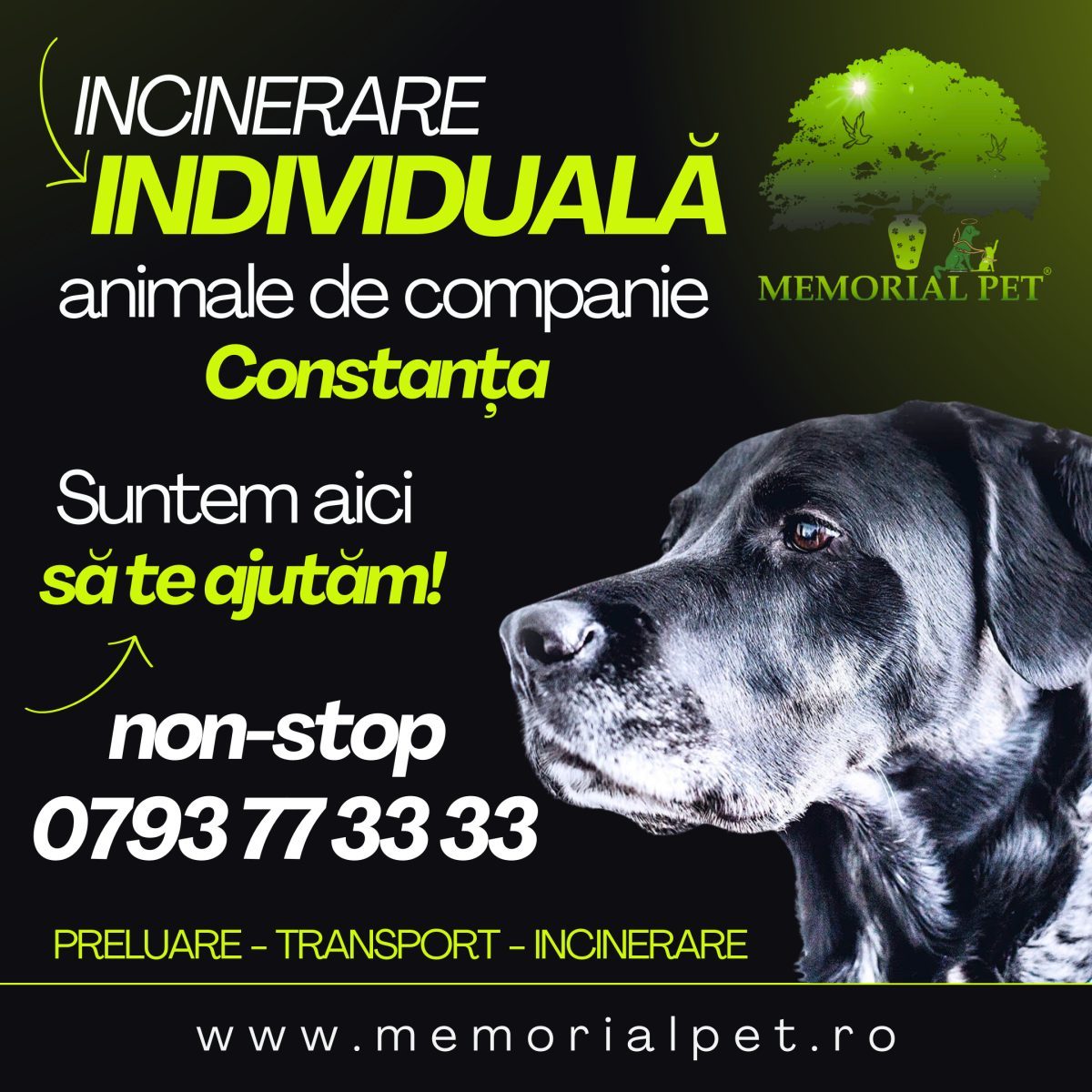 Care este cea mai sigură opțiune conform legislației privind incinerarea și înhumarea animalelor de companie?